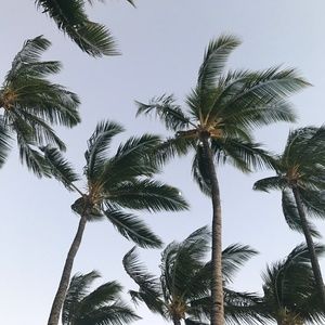 Meet your Posher, Robin